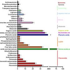 Image result for Synaptolepis oliveriana