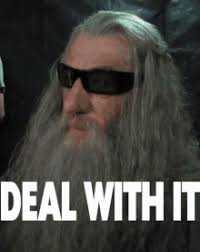 Reaction gifs say it with a gif! Gandalf Deal With It Gifs Tenor