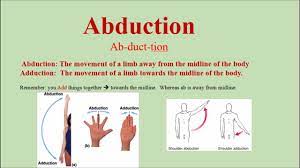 Pin By Eva On Human Anatomy Physiology How To Pronounce Human Anatomy And Physiology Anatomy And Physiology