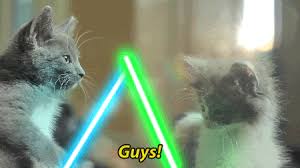 Relevant newest # yes # wow # strong # applause # lightsaber # black and white # horse # military # footage # historic # star wars # lightsaber # may the 4th # may the fourth # star wars cat # cat # cute # animals # vintage # animal # star wars # kitten # best friends # jedi # lightsaber Kampf Cat Fighting Gif Find On Gifer