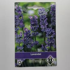 Lavender seeds “Lavandula angustifolia”