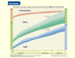 12 Chart For Baby Boys To 36 Months For Head Circumferences