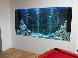 Aquarium Wall Decorating Jihanshanum Wall Aquarium Fish Tank Wall Aquarium Design