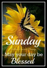Sunday morning words of encouragement happy sunday blessings quotes and images; Sunday May Your Day Be Blessed Sunday Sunday Quotes Blessed Sunday Sunday Blessed Sunday Morning Good Morning Happy Sunday Blessed Sunday