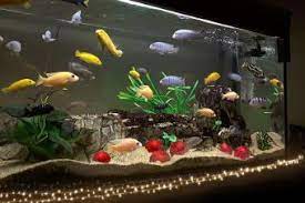 Aquarium diy decorations is on the agenda today. Fish Tank Decoration Ideas Using Everyday Items Lovetoknow