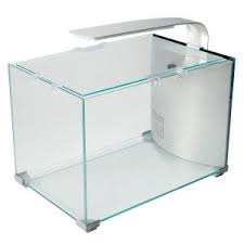 Top Fin 5 Gallon Glass Aquarium Aquariums Petsmart Aquarium Glass Aquarium Petsmart