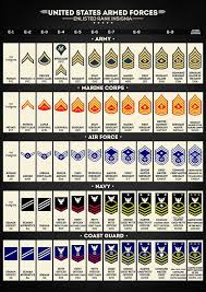 United States Armed Forces Enlisted Rank Insignia Art