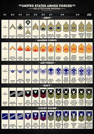 united states armed forces enlisted rank insignia art