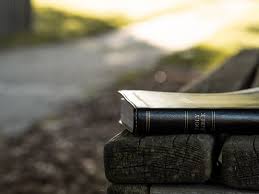 A second reason to doubt that it is one of the plagues of revelation is that we know the source of this virus. What Does The Book Of Revelation Say About Covid 19 Theweeflea Com