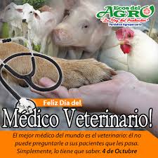Frases del día del maestro para dedicar. Ecos Del Agro Feliz Dia Del Medico Veterinario