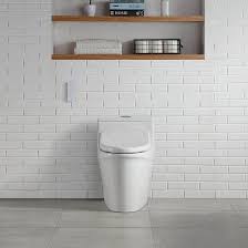 Bidet attachments are no different from bidet toilets or seats regarding your seating position over the sprayer. Ove Decors Calero Elongated Toilet Seat Bidet Reviews Wayfair