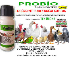 Probio Dogal Koruyucu Ve Verim Artirici Probiyotik Vermx Tr Kanatli Urunleri