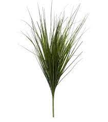 Pampas grass is a very cute grass. Greenery Floral Arrangements Wreaths Bushes Joann