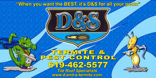 Conn pest contro, flagstaff termite gecko pest management inc. D S Termite And Pest Control Reviews Spring Valley Ca Angi