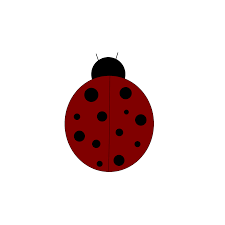 Black And White Ladybug Clipart Free Clipart N Images October 2011 Clip Art Ladybug Free Clip Art