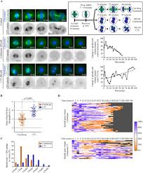 Vaccine makers 'should work with poorer countries'. A Novel Compound That Disrupts Mitotic Spindle Poles In Human Cells Biorxiv