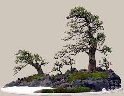 Pin By Julieta On Bonsai Garden Landscape Design Bonsai Tree Big Garden