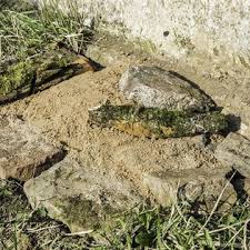 So Legen Sie Eine Nisthilfe Fur Sandbienen An In 2020 Nisthilfen Bienen Natur Tiere