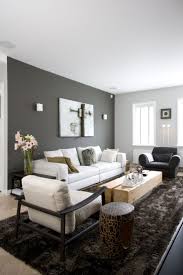 With the living room painted with dark color walls gray sofa gives a cozy and modern look to the room. Living Room Pictures Of Grey Living Rooms
