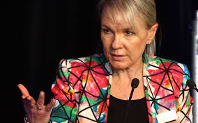 Netball NZ may look overseas for Ferns coach