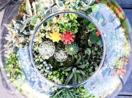 Dec 20, 2020 · find the latest breaking news and information on the top stories, politics, business, entertainment, government, economy, health and more. Bring On The Bloom Flower Shops Around Koreatown The Pearl