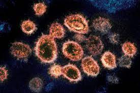 Lambda strains, mutated at specific sites, are unable to lysogenize cells; Lambda Variant Does The Vaccine Work Against It Is It Dangerous Deseret News