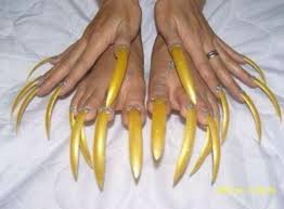 Williams alcanzó el récord mundial de la mujer con las uñas más largas en ambas manos luego de que otra estadounidense, chris la duquesa walton, quien había sostenido este título desde el 2011, decidiera cortarse sus uñas, tras más de 24 años sin hacerlo. Record Unas Largas Pies Nail Art