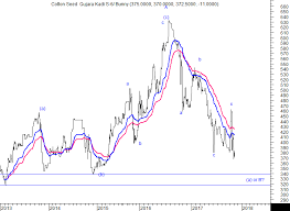 Technical Cotton Seed Kadi Spot Bear Market Continues