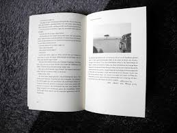 維珍尼亞·吳爾夫於1925年出版的小說《達洛維夫人》中，奧地利作家 克萊門斯·j·塞茲 （ 英语 ： clemens j. Clemes J Setz Indigo Poesierausch