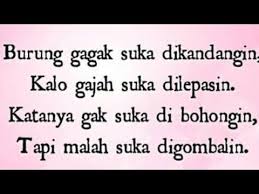 Kumpulan Pantun Cinta Lucu Buat Kekasih Quotes Blog