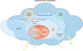 It was first identified in december 2019 in wuhan,. Lessons Learned New Insights On The Role Of Cytokines In Covid 19 Nature Immunology