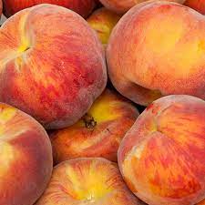 Princes peach beautiful fruits nature plants ornamental grasses fruit trees fruits and veggies florida backyard greenhouses. Florida Prince Peach Peach Trees Stark Bro S
