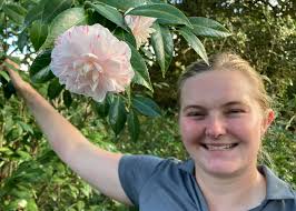 Alabama Camellias Forum (Group)