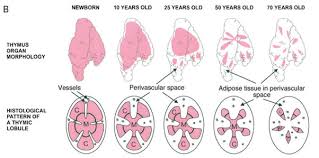 Most inflammatory issues area systemic and not just one side but i get pain and symptoms in every joint on the right side. The First Step Of Drug Addiction Treatment Is To Brainly Popularquotesimg