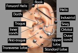 Pin By Alyssa Brown On Piercing Ear Piercing Diagram Ear Piercings Chart Piercing Chart