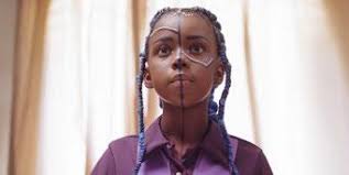 Catálogo do 29º Festival de Cinema de Vitória by Festival de Cinema de  Vitória