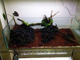Ideally you want your cap to be about the same measurement as the dirt you put in. Evolution Of A Planted Aquarium The Mossy Blogster