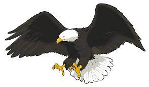 Eagle Png Png Clip Art Image Gallery Yopriceville High Quality Images And Transparent Png Free Clipart Clip Art Art Images Eagle Art
