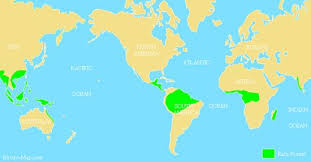 As i already mentioned, the tropical rainforests are located between the tropic of cancer and the tropic of capricorn, and the world's largest rainforests can be found in the amazon (south america), in the congo river basin (west africa). Pin By Miriam Garcia On Rain Forest Rainforest Tropical Rainforest Rainforest Map