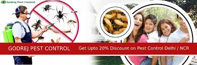 You have the peace of mind knowing all pest control actvities and fumigation is handled by experienced exterminators. Godrej Pest Control Godrejpest Twitter