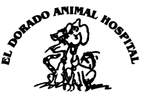 Huebner oaks veterinary hospital provides veterinary care, pet boarding, and grooming for dogs and cats in san antonio, shavano park, and boerne. Small Animal Vet San Antonio Texas El Dorado Animal Hospital