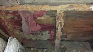 Termite Damage Ocean Township Nj Rz Termite Pest Control
