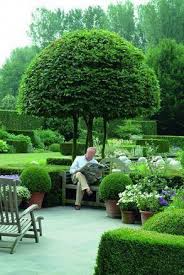 38 Amazingly Green Front Yard Backyard Landscaping Ideas Engineering Basic Gardenart Boxwood Garden Backyard Landscaping Garden