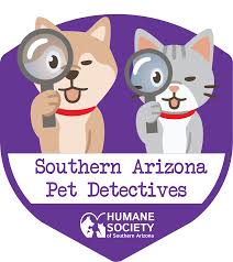 Dog / cat / pet bed (payson, az. Lost Found Pets Humane Society Of Southern Arizona