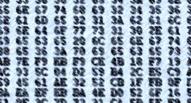 Hex Words