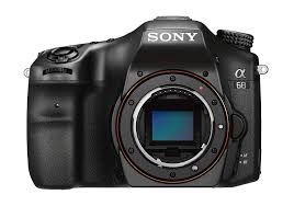 7 Best Dslr Cameras Under 1000 To Capture The Best Moments Of Your Life Inspirationfeed