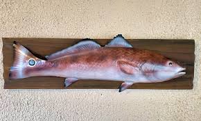 Redfish Metal Wall Art