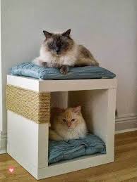 Fabriquer Un Griffoir Chat Ikea 03 Grattoir Pour Chat Griffoir Chat Lit Pour Chat