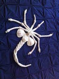 Check spelling or type a new query. Katie Freeman S Famous Knitted Facehugger Knithacker