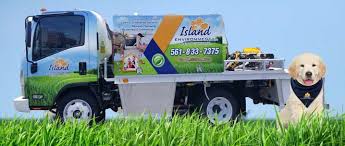 Diğer sınıflandırmalar (yalnızca bazı ülkeler için). Island Environmental Pest Control Palm Beach Florida